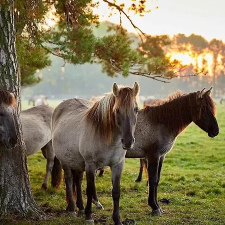 Schoene Ferienwohnung Im Muensterland Dülmen