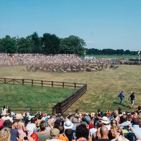 Schoene Ferienwohnung Im Muensterland شقة *