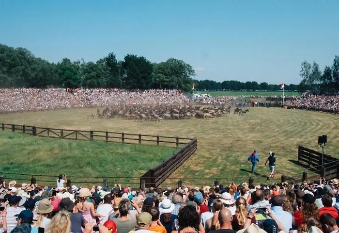 Schoene Ferienwohnung Im Muensterland 公寓 *
